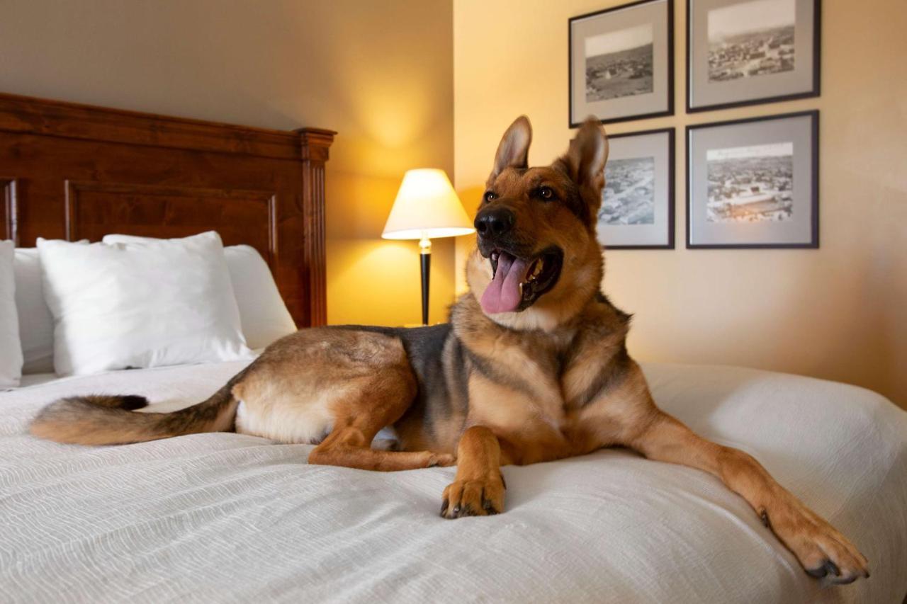 Best Western Plus King'S Inn And Suites Kingman Dış mekan fotoğraf